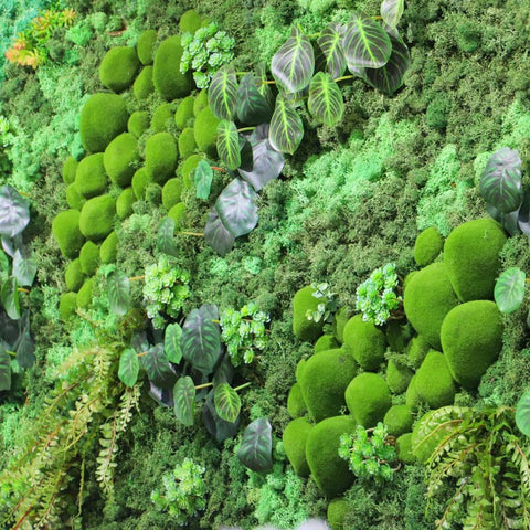 Botanical Greenery Moss Wall Art Home Decor