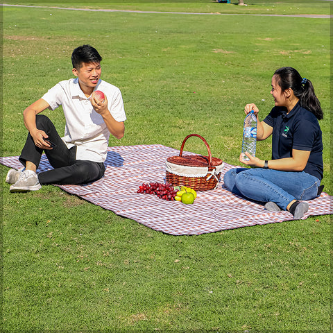 Waterproof Foldable Picnic/ Camping Mat