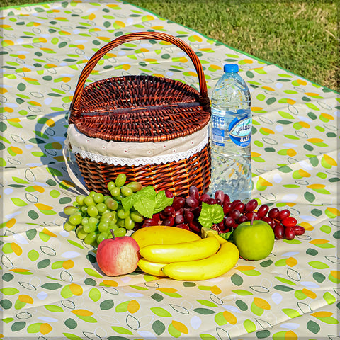 Waterproof Foldable Picnic/ Camping Mat