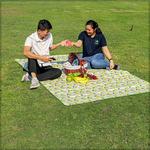 Waterproof Foldable Picnic/ Camping Mat