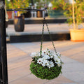 Coconut hanging basket for garden