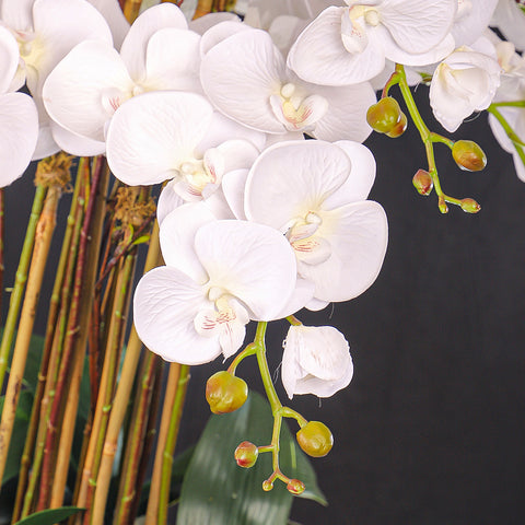 Natural Look Orchid Arrangements White