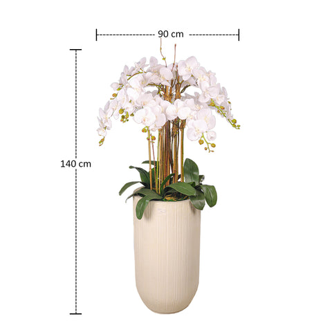 Natural Look Orchid Arrangements White