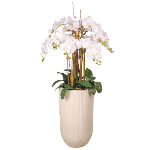 Natural Look Orchid Arrangements White