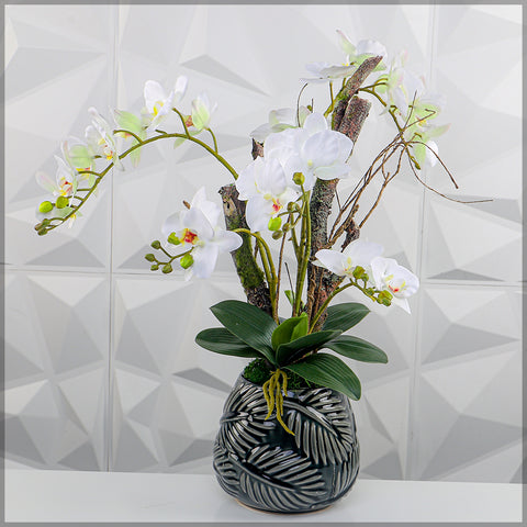 Orchid Flowers Arrangement White