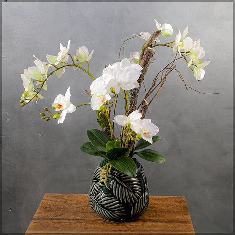 Orchid Flowers Arrangement White