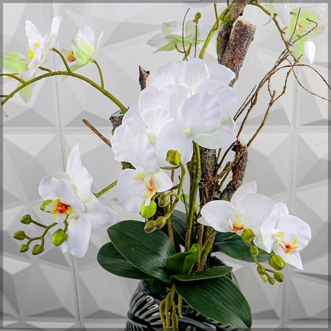 Orchid Flowers Arrangement White