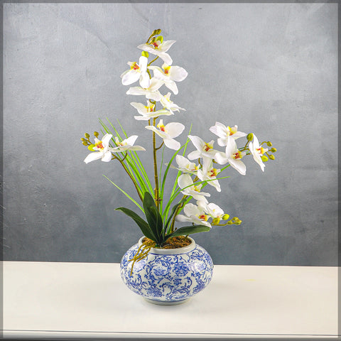 Orchid Arrangements in Chinese Vase