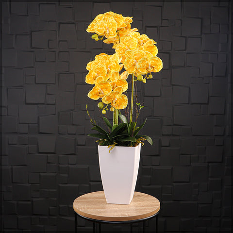 Durable white plastic flower pot for indoor use