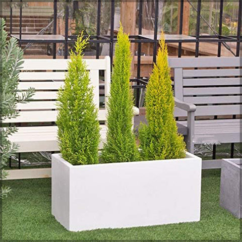 White Rectangular Concrete Pot