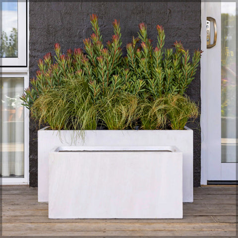 White Rectangular Concrete Pot