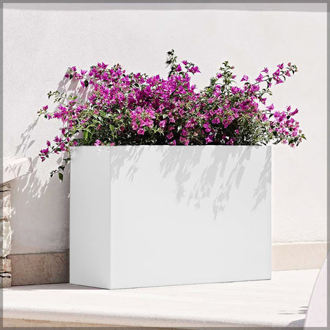 White Rectangular Concrete Pot