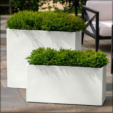 White Rectangular Concrete Pot