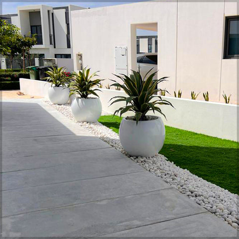 White round planter for indoor use