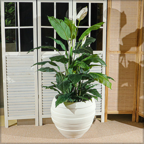 Stylish white ribbed concrete planter