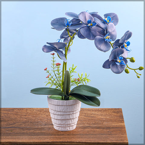 Clean and sleek white plastic pot for flowers