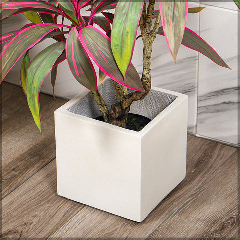 Tall square concrete planters