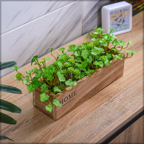 Potted Succulent in Wooden Pot