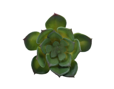 Artificial Aeonium Lily Pad Succulent Plants