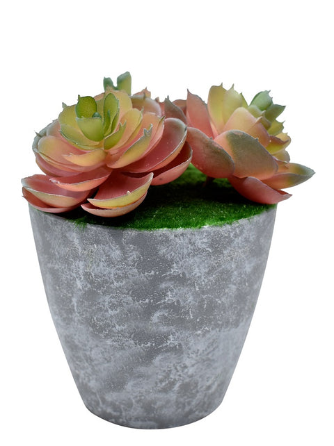 Artificial Pink Succulent Plant Potted