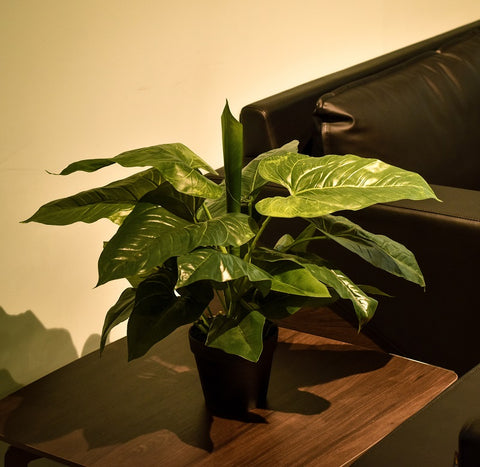 Nearly Natural White Calla Lily Artificial Plant in a modern living room