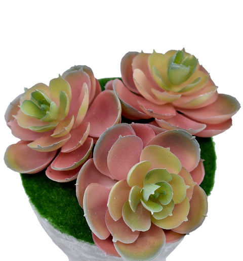 Artificial Pink Succulent Plant Potted