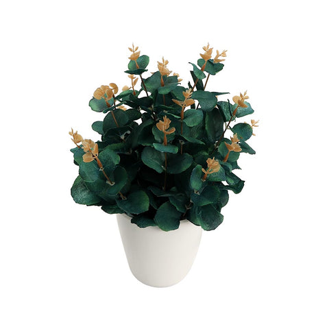 Artificial potted eucalyptus plant peacock