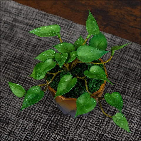 Artificial Potted Green Succulent