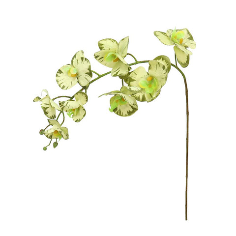 Artificial Green Orchid Flower-FO-803