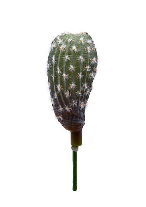 Faux cactus for home decoration