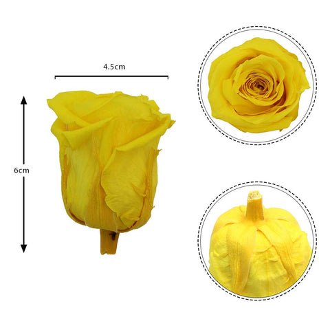 6CM Preserved Rose Flower