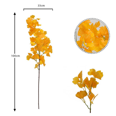 Ginkgo Biloba Branches Leaf