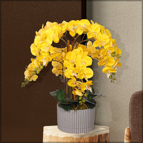 Natural Look Orchid Arrangements