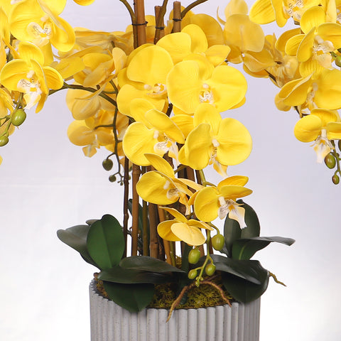 Natural Look Orchid Arrangements