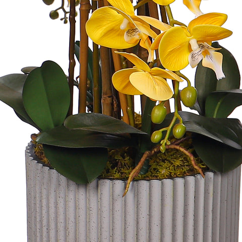 Natural Look Orchid Arrangements