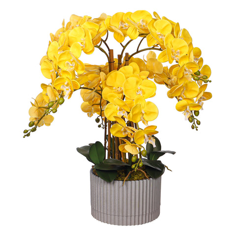 Natural Look Orchid Arrangements