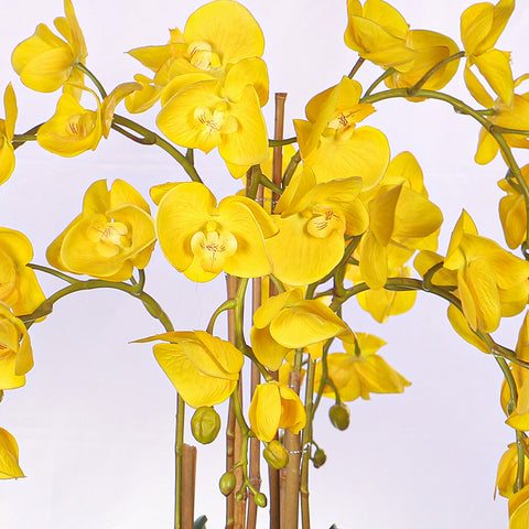 Natural Look Orchid Arrangements Yellow