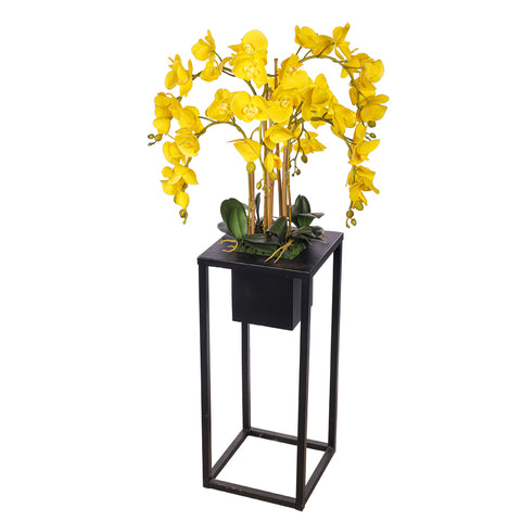 Natural Look Orchid Arrangements Yellow